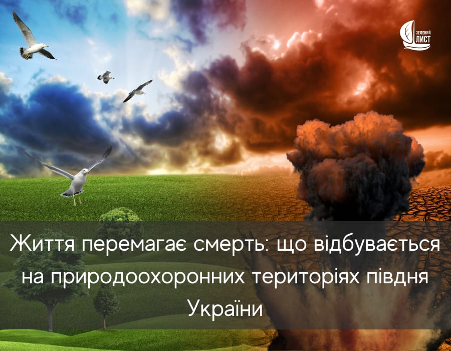 Життя перемагає смерть: що відбувається на природоохоронних територіях півдня України